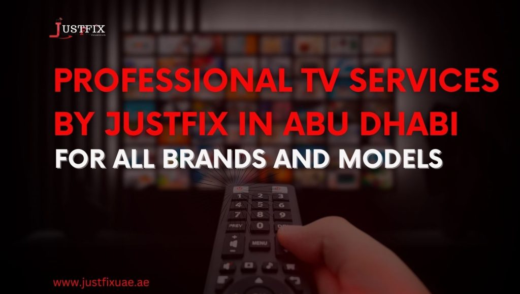 profeessional tv services